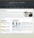 Turnkey website #21262