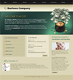 Turnkey website #21292