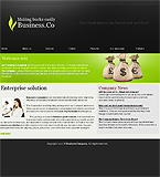 Turnkey website #21610
