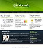 Turnkey website #22444