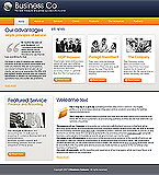 Turnkey website #23350