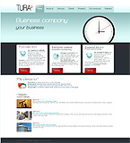 Turnkey website #23365