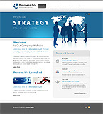 Turnkey website #29676