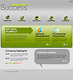 Turnkey website #29684