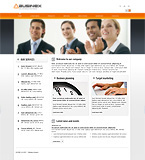 Turnkey website #29688