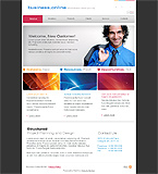 Turnkey website #30110