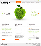 Turnkey website #30111