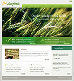 Turnkey website #30517