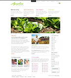 Turnkey website #30974