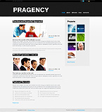 Turnkey website #31510