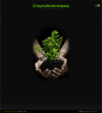 Turnkey website #31662