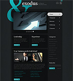 Turnkey website #33246