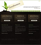 Turnkey website #33720